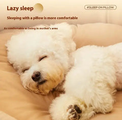 Four Seasons Universal Windproof Nest