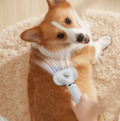 Pet Groomer
