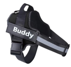 Reflective Pet Vest