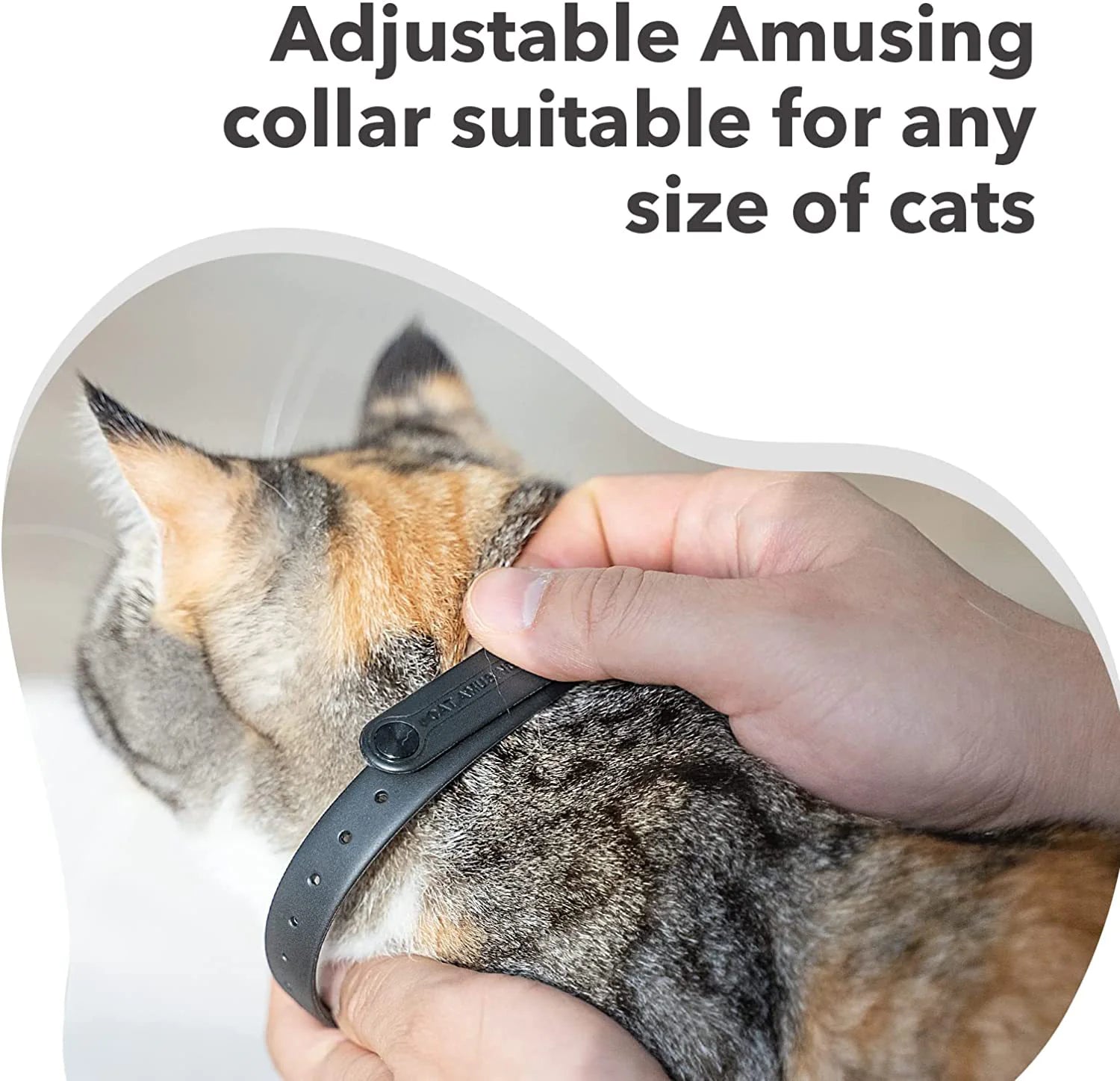 Laser Collar Toy for Cats