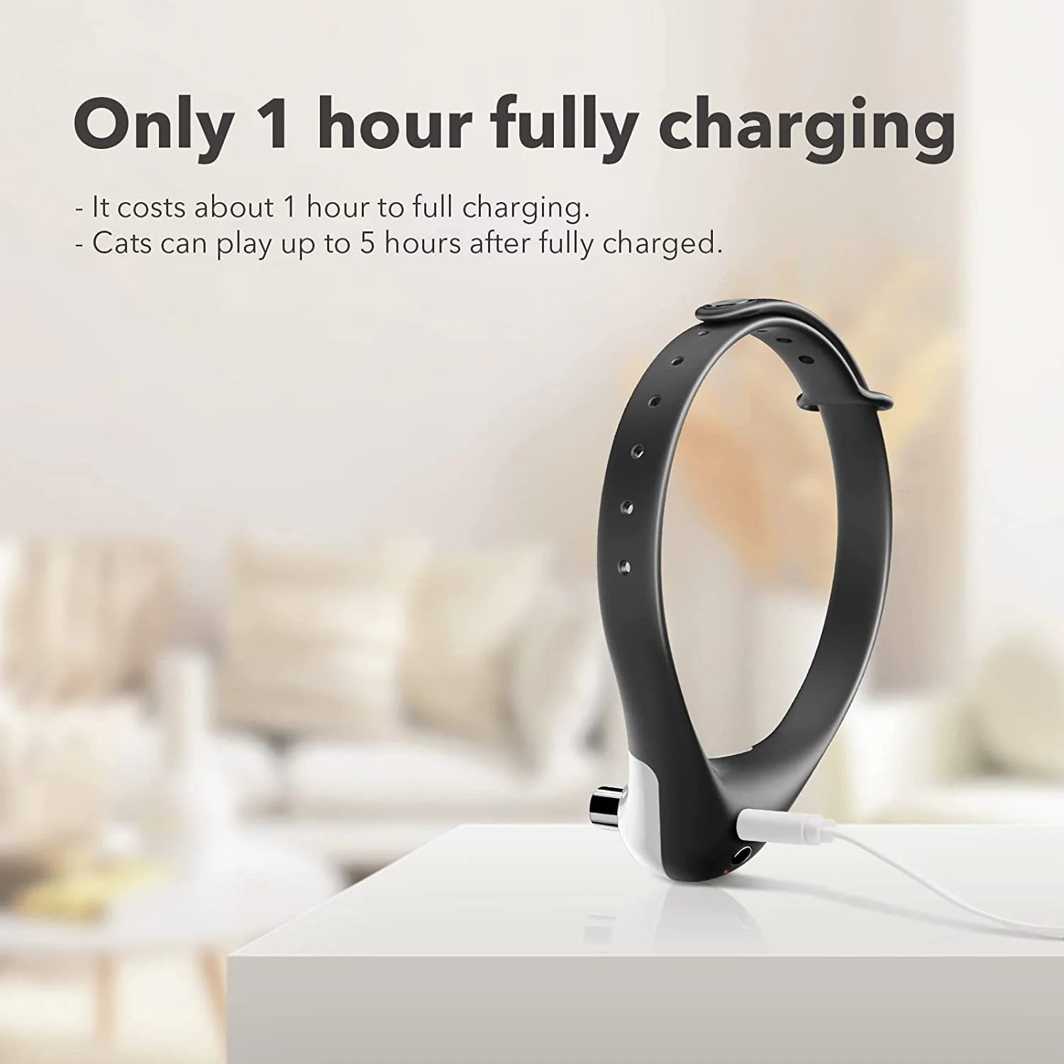 Laser Collar Toy for Cats