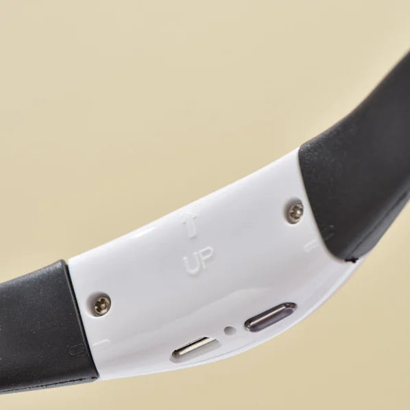 Laser Collar Toy for Cats